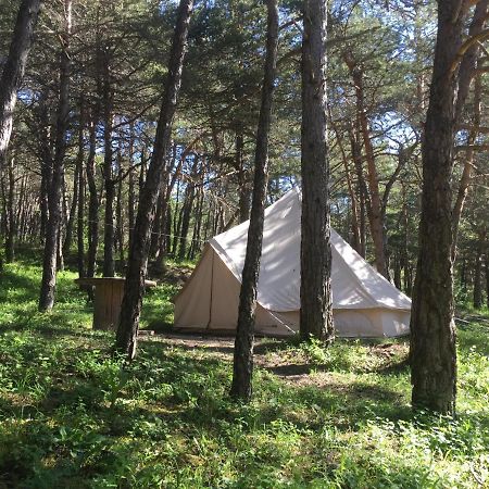 Camping La Chabannerie Hotell Saint-Martin-de-Clelles Exteriör bild