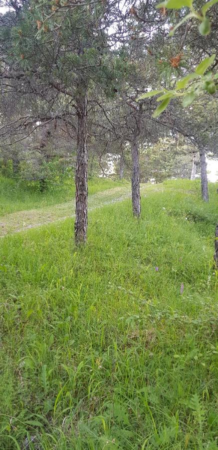 Camping La Chabannerie Hotell Saint-Martin-de-Clelles Exteriör bild