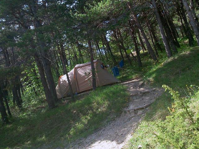 Camping La Chabannerie Hotell Saint-Martin-de-Clelles Exteriör bild