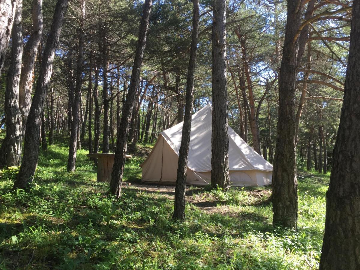 Camping La Chabannerie Hotell Saint-Martin-de-Clelles Exteriör bild